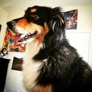 Meet your Posher, Willie